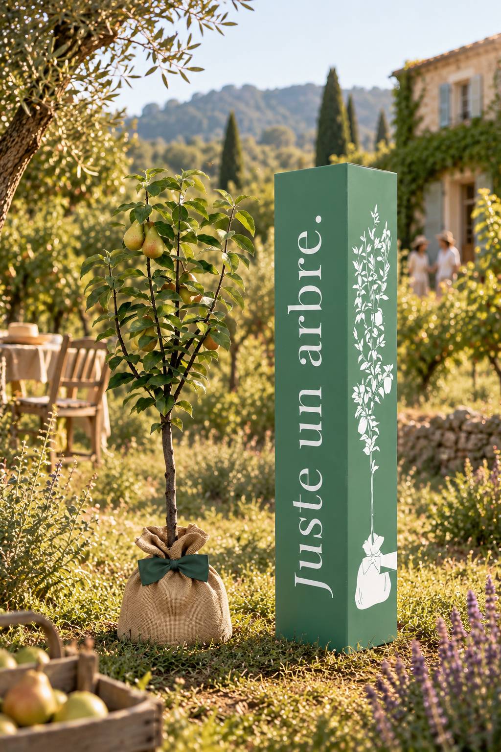 Juste Un Arbre - JUSTE UN ARBRE. – Poirier Conférence | Offrez un arbre fruitier pour naissance, mariage, anniversaire – À planter en jardin, production abondante. - Imagen 2