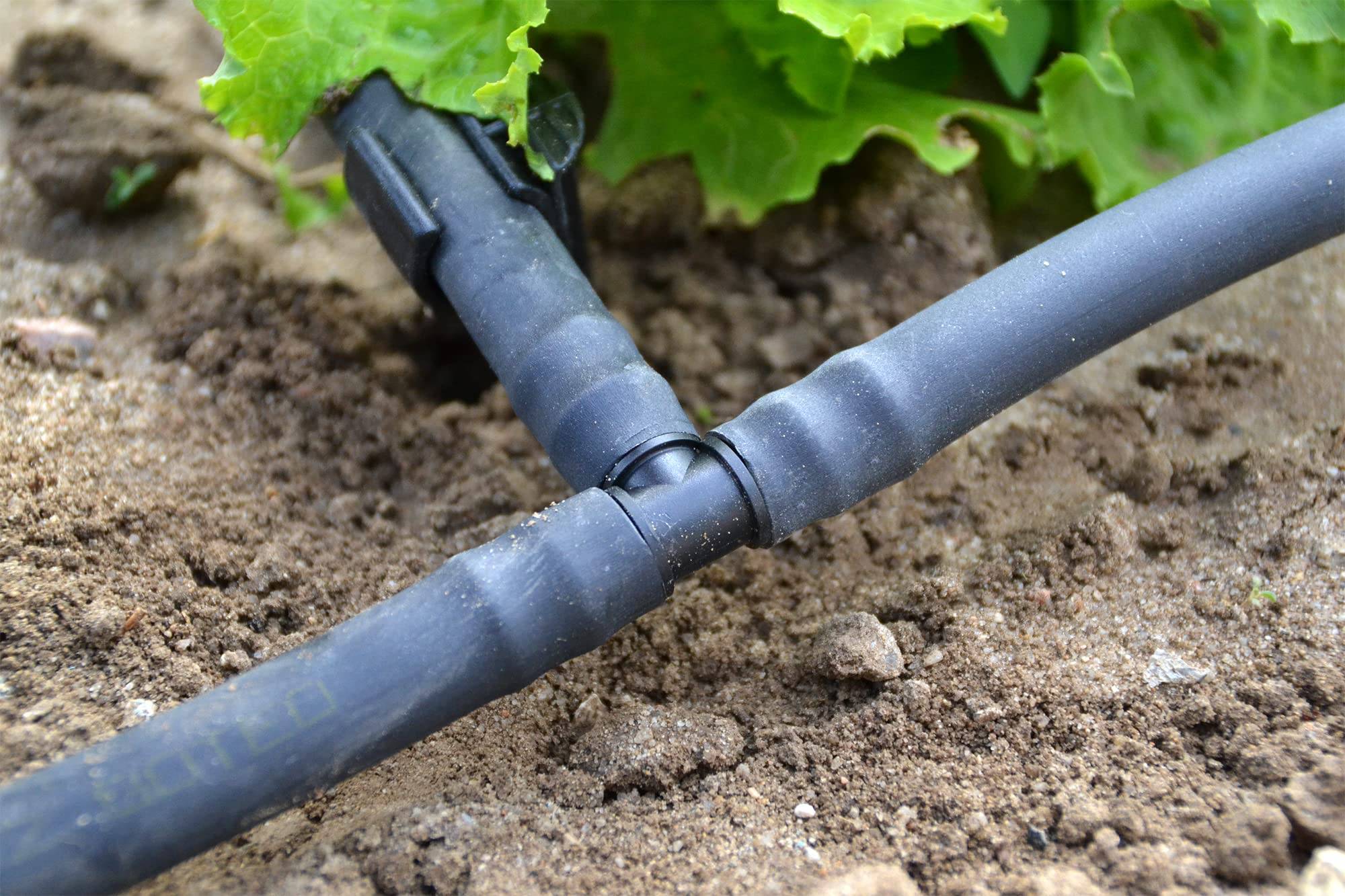 Jardibric - Jardibric - Té Irrigation Ø16 mm Lot de 10 - Raccord Tuyau Goutte à Goutte - Té Cannelé Arrosage - Image 2