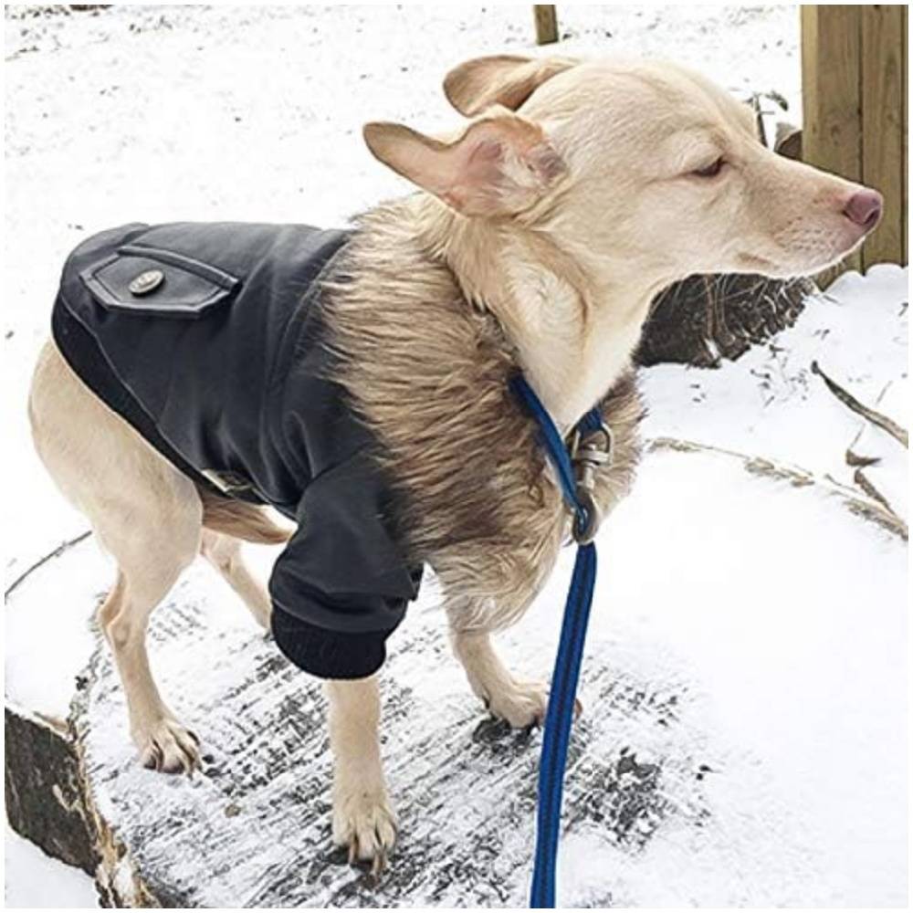 Manteau en cuir pour chiens - M - Image 4