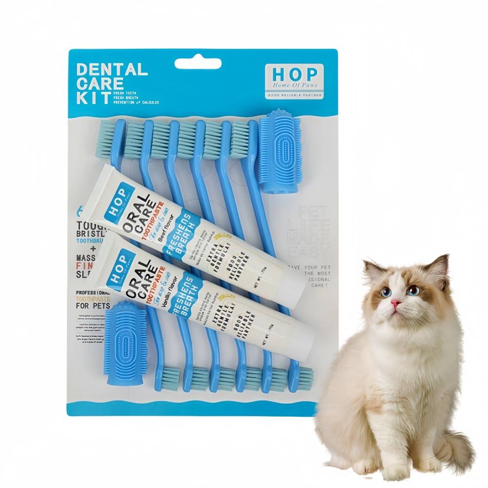 Ensemble de dentifrice et brosse à dents pour chat IntiMeg