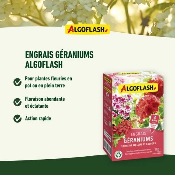 Algoflash Naturasol - Engrais Géraniums, Fleurs De Massifs Et Balcons - Algoflash Naturasol - 1 Kg - Imagen 3