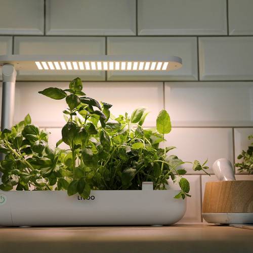 Livoo - Jardin d'intérieur avec leds intégrées - Imagen 1