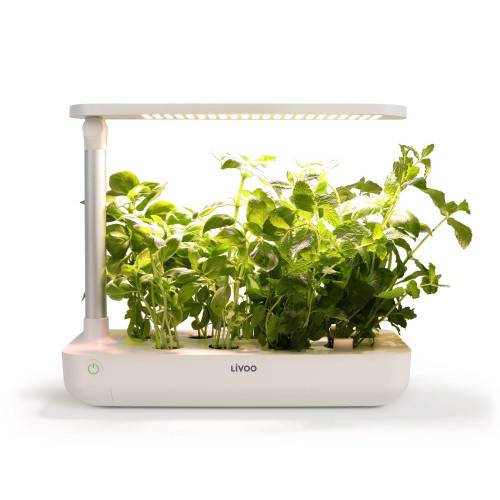Livoo - Jardin d'intérieur avec leds intégrées - Imagen 2