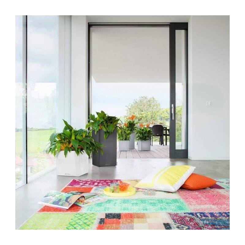 Lechuza - Pot De Fleur Lechuza Canto Premium Colonne 40 - Kit Complet, Blanc Brillant - Image 4