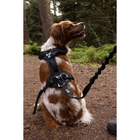 Harnais pour chien - SYMBIOZ - XXS - Noir / Bleu - Image 6