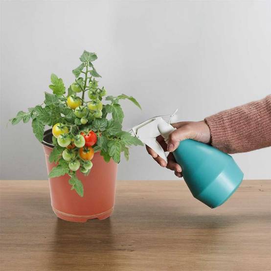 Composteur de Cuisine 19L avec Robinet pour Engrais Liquide - GORIL - Image 9