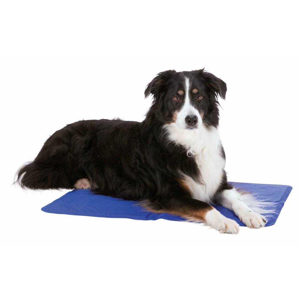 Trixie - Trixie - Matelas rafraîchissant XL 90 x 50 cm bleu pour chien