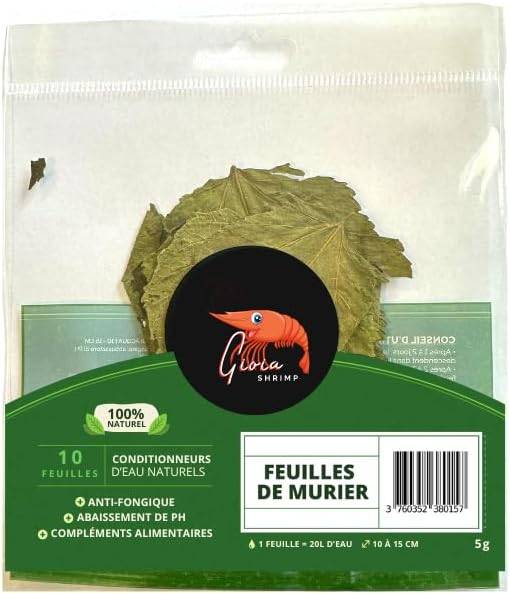 Gioia SHRIMP 10 Feuilles de Murier/Conditionneur d'eau/Alimentation pour crevette d'aquarium