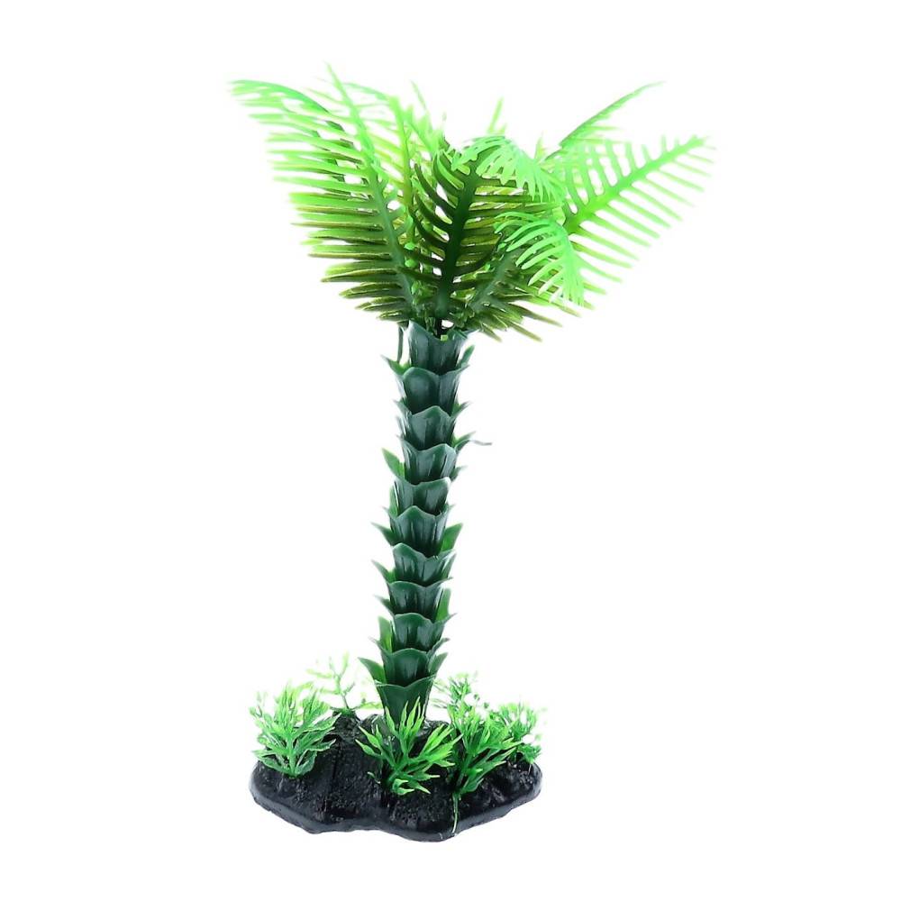Palmier décoration solo M, H20 cm, pour aquarium - Imagen 5