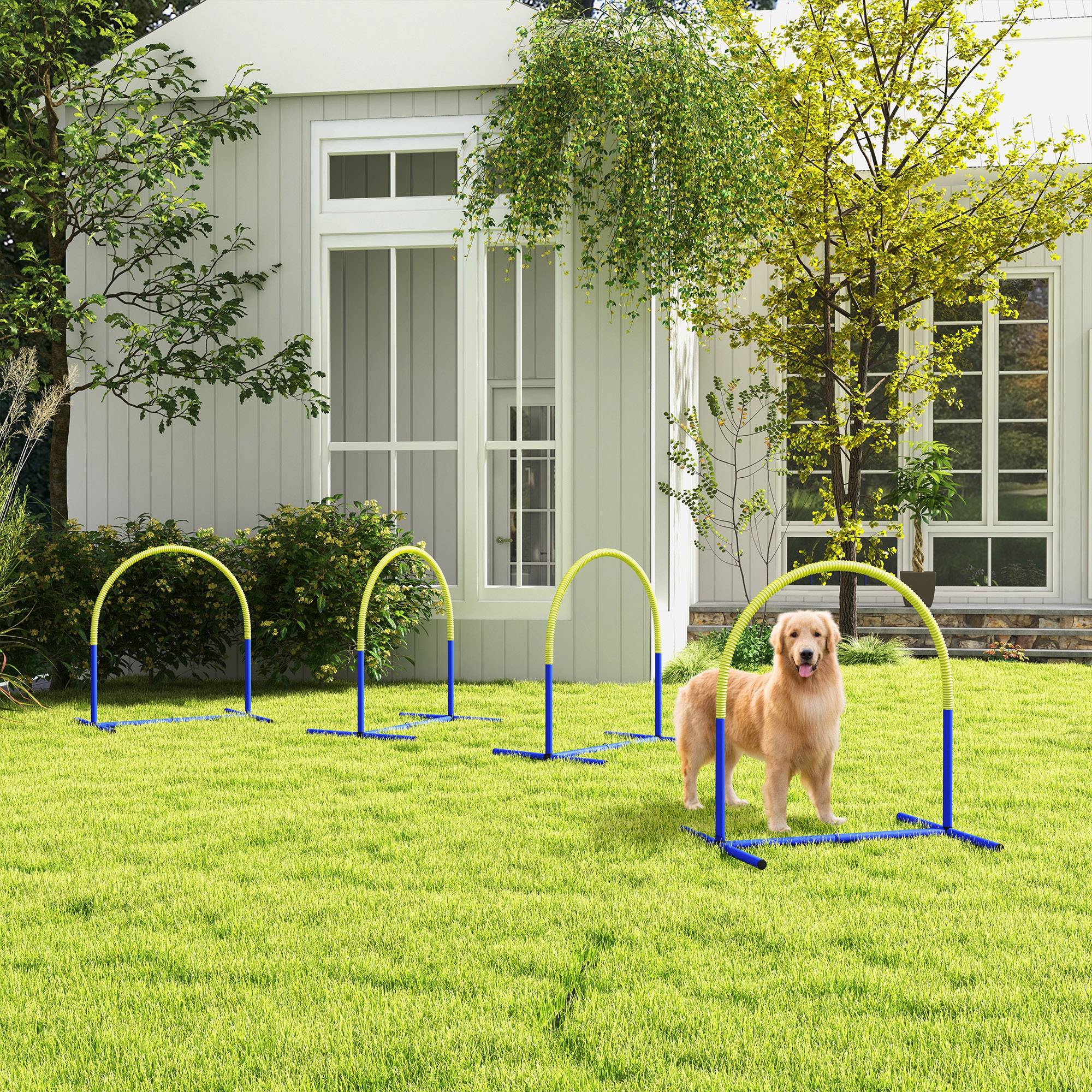 Kit d'agility pour chien plastique bleu et jaune 88 x 64 x 95 cm - PANGIVO - Image 4