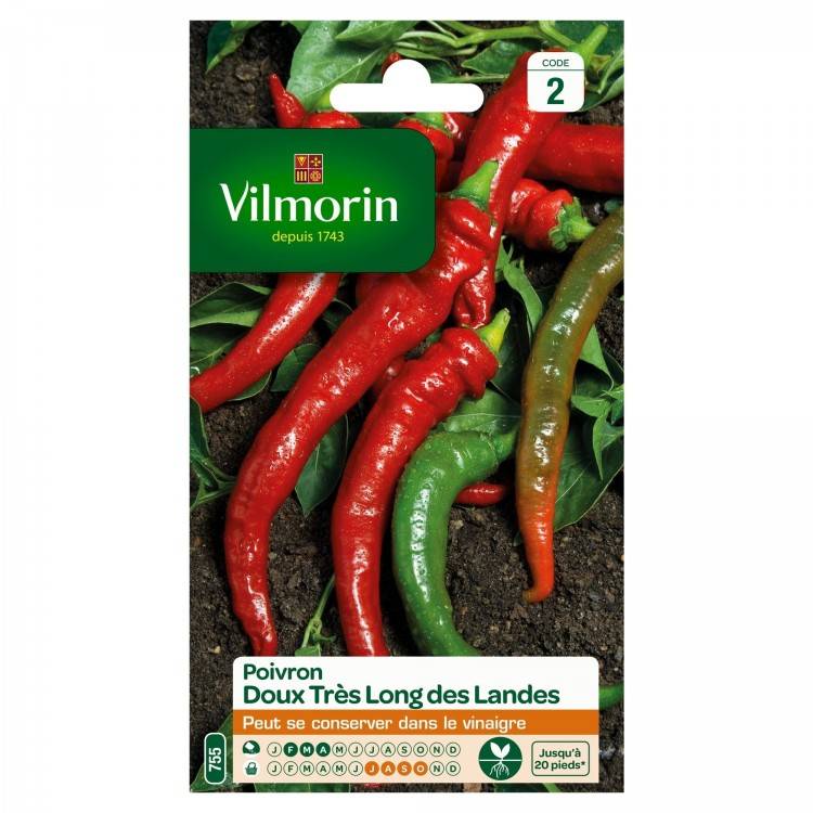 Vilmorin - Vilmorin - Poivron Doux Très Long des Landes