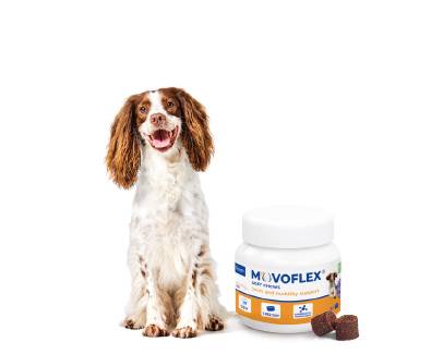 MOVOFLEX Médium de 15 à 35kg (Boîte de 30) - ViRBAC - Image 2