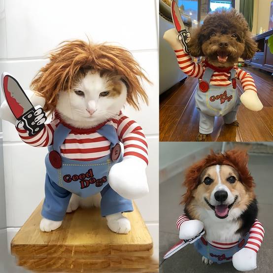 Costumes d'Halloween pour chiens XL IntiMeg - Image 6