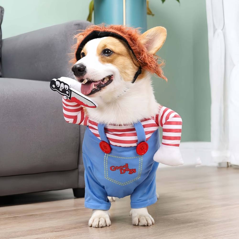 Costumes d'Halloween pour chiens XL IntiMeg - Image 5