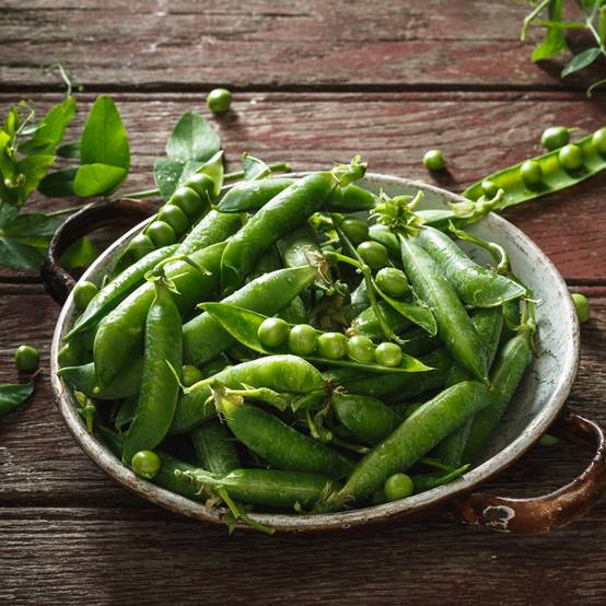Promesse de Fleurs - Pois nain Très Hâtif d'Annonay (grains ronds) - Pisum sativum le sachet de 250-350 graines environ (100g)