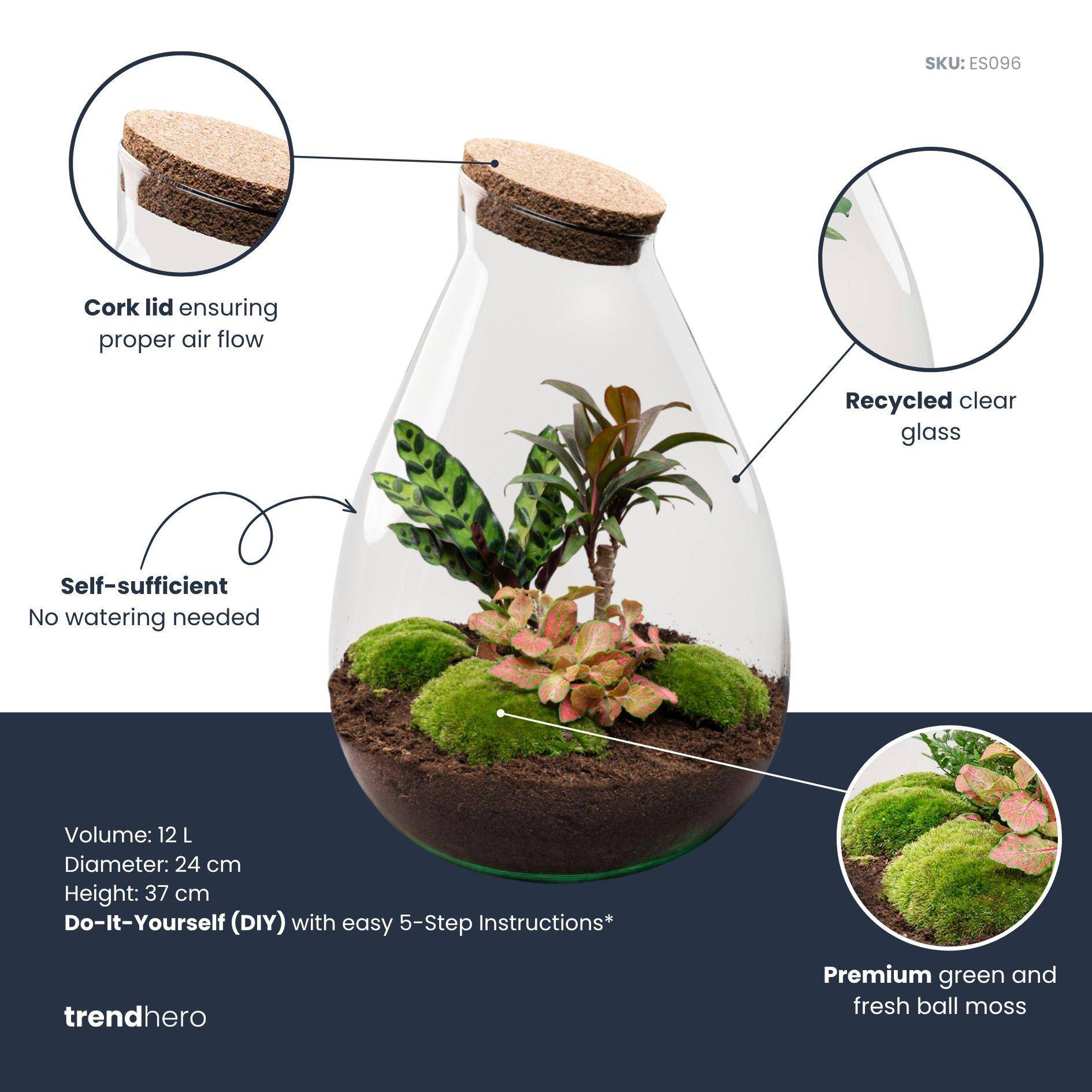 Terrarium à composer goutte en verre recyclé - Ø29-H37cm - avec kit 4 outils - variété rouge - Terrarium DIY - Image 2