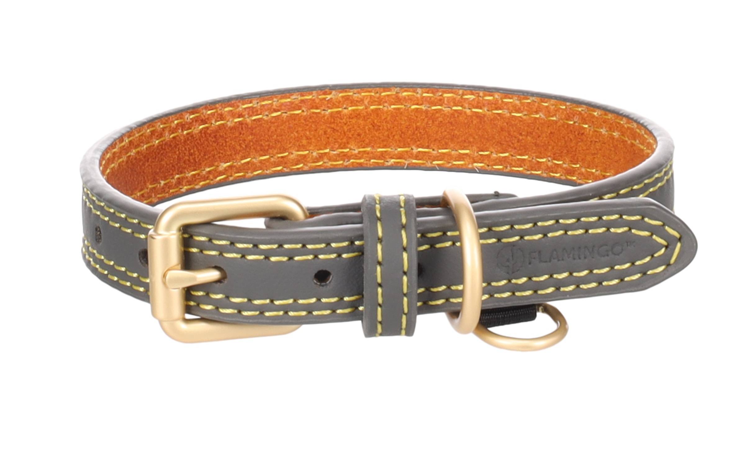 Eden - Collier pour chien Virginia en cuir XS / S 24-30cm 15mm gris - Image 3