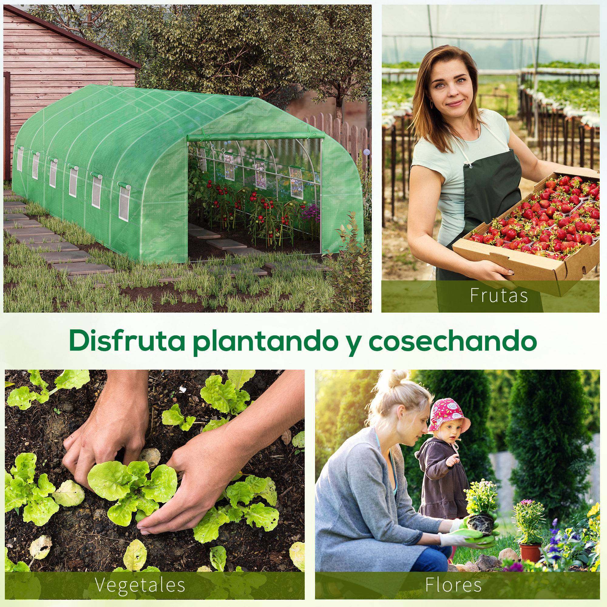 ComfortXL - Serre de Jardin Tunnel XXL 24m² Acier Galvanisé et Bâche PE 12 Fenêtres 8x3x2 m Vert - ComfortXL Outdoor Living - Image 9