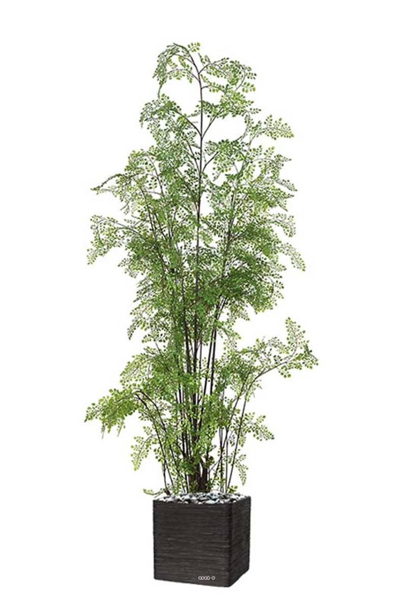 Artificielles - Fougère adiantum artificielle sur pied, en pot, H 180 cm, D 70 cm - Imagen 2