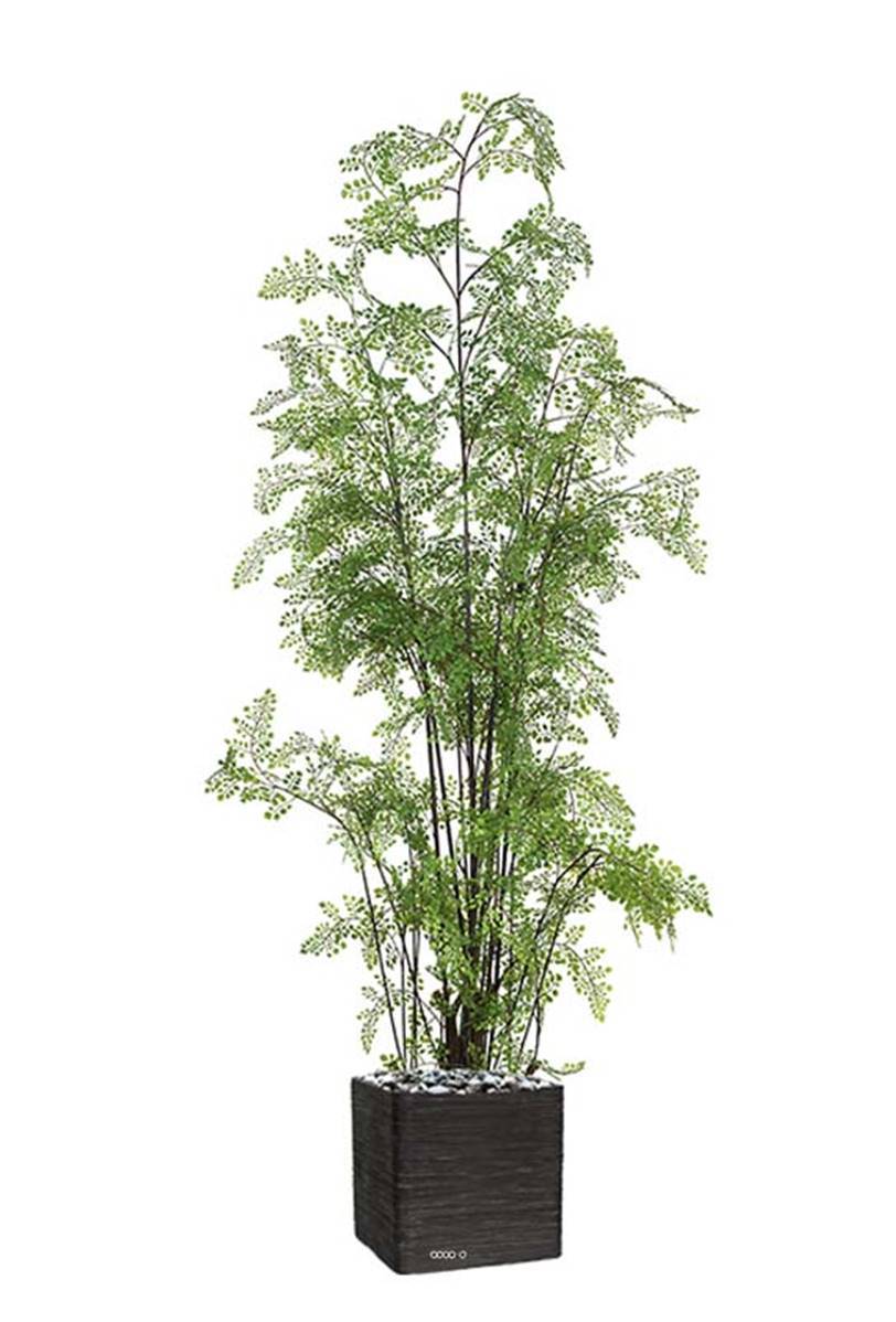 Artificielles - Fougère adiantum artificielle sur pied, en pot, H 180 cm, D 70 cm - Imagen 1