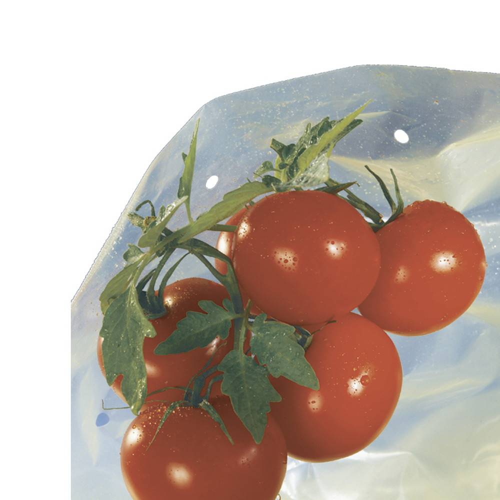 Nortène - Housse de croissance tomate Tomatotube en film perforé jaune - avec liens Nortene - Imagen 1