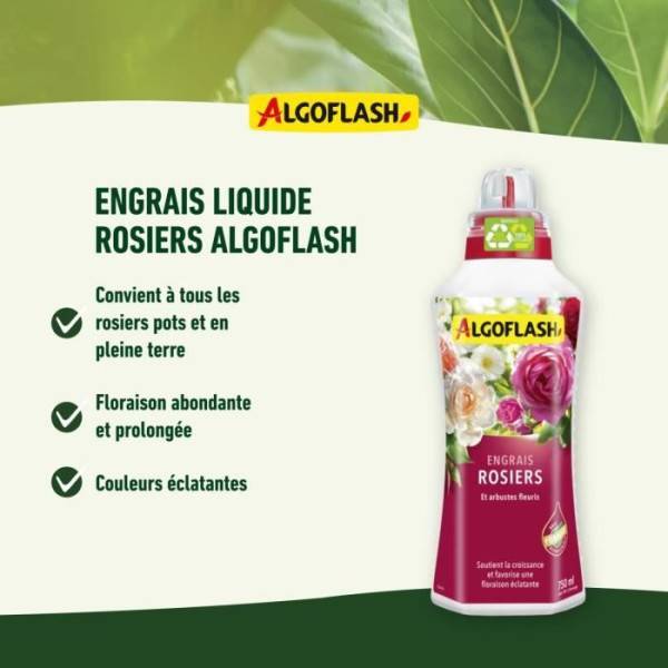 Algoflash - Engrais Rosiers 750 Ml - Imagen 3