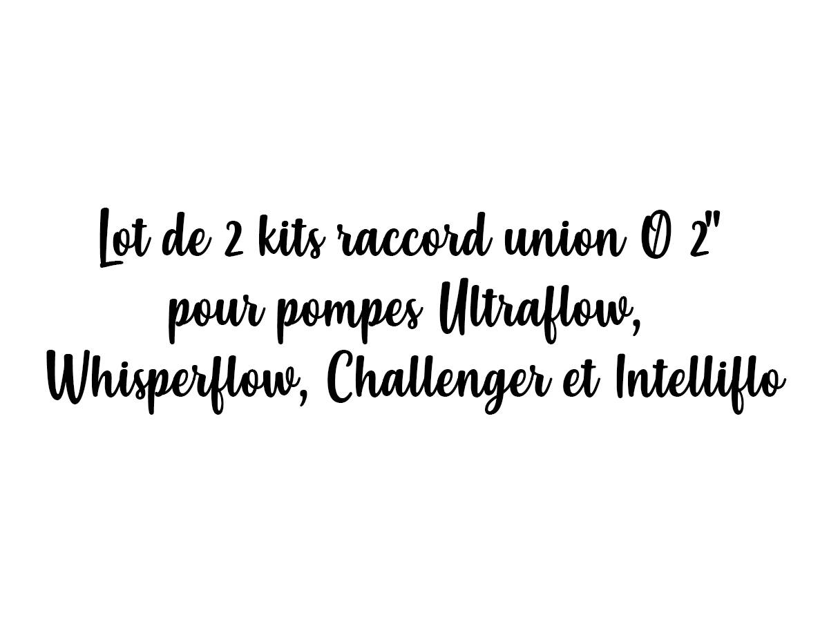 Lot de 2 kits raccord union Ø 2" pour pompes Ultraflow, Whisperflow, Challenger et Intelliflo - Pentair - Imagen 1