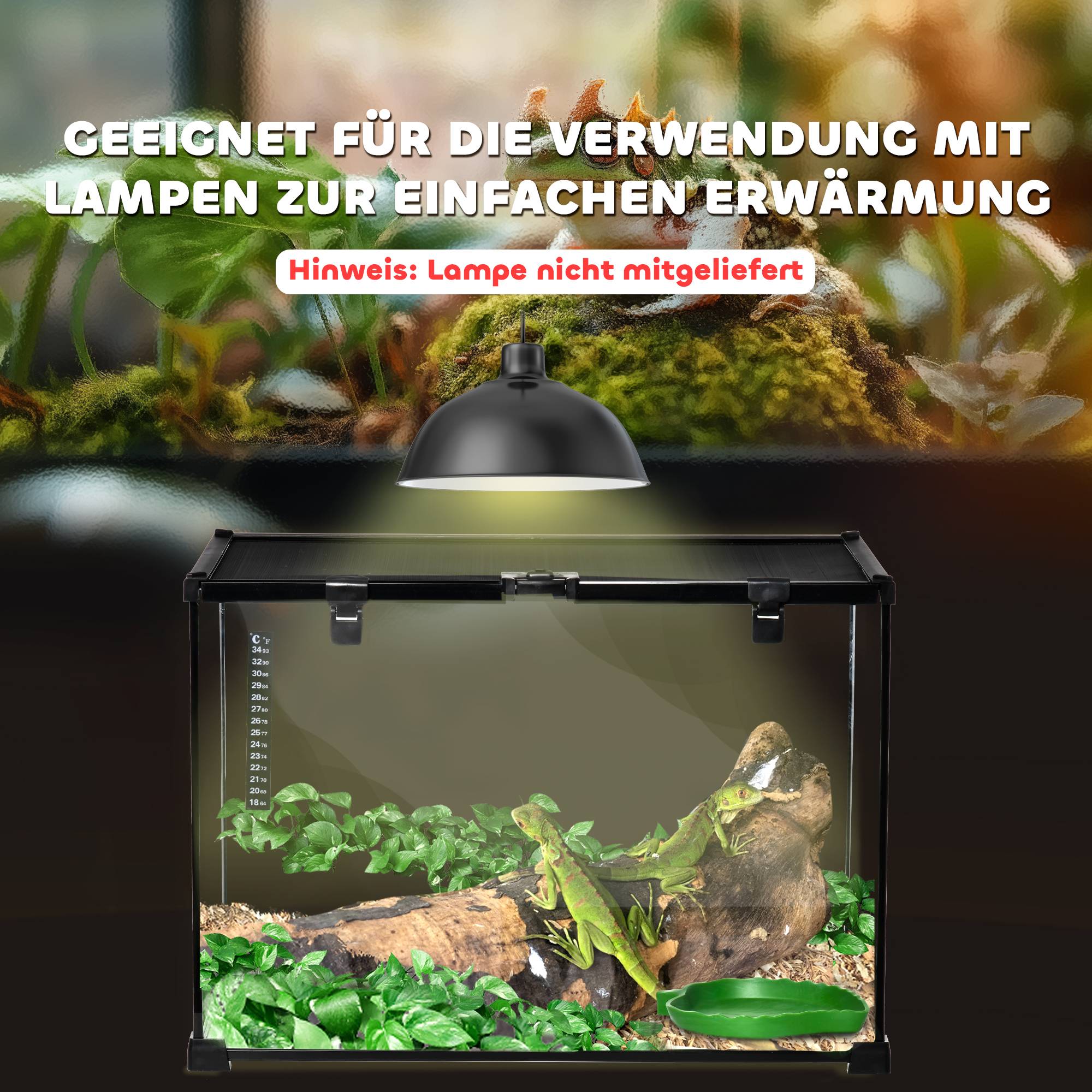 ComfortXL - Terrarium Verre Reptiles Tortue Serpent Ventilation 50x30x35cm Noir - ComfortXL Pet Living - Image 7