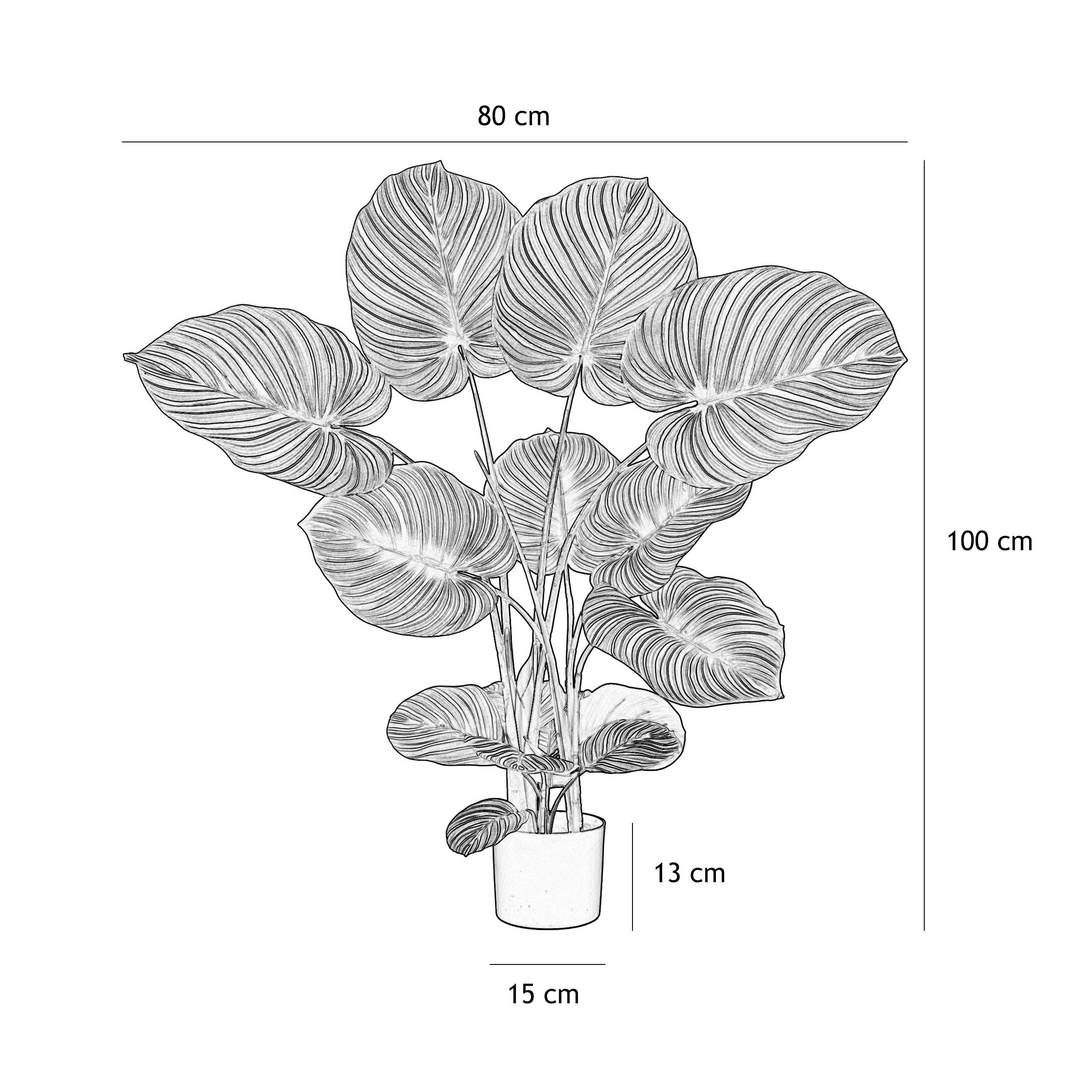 Ligne Deco - Plante verte calathea artificiel 100cm - Image 7