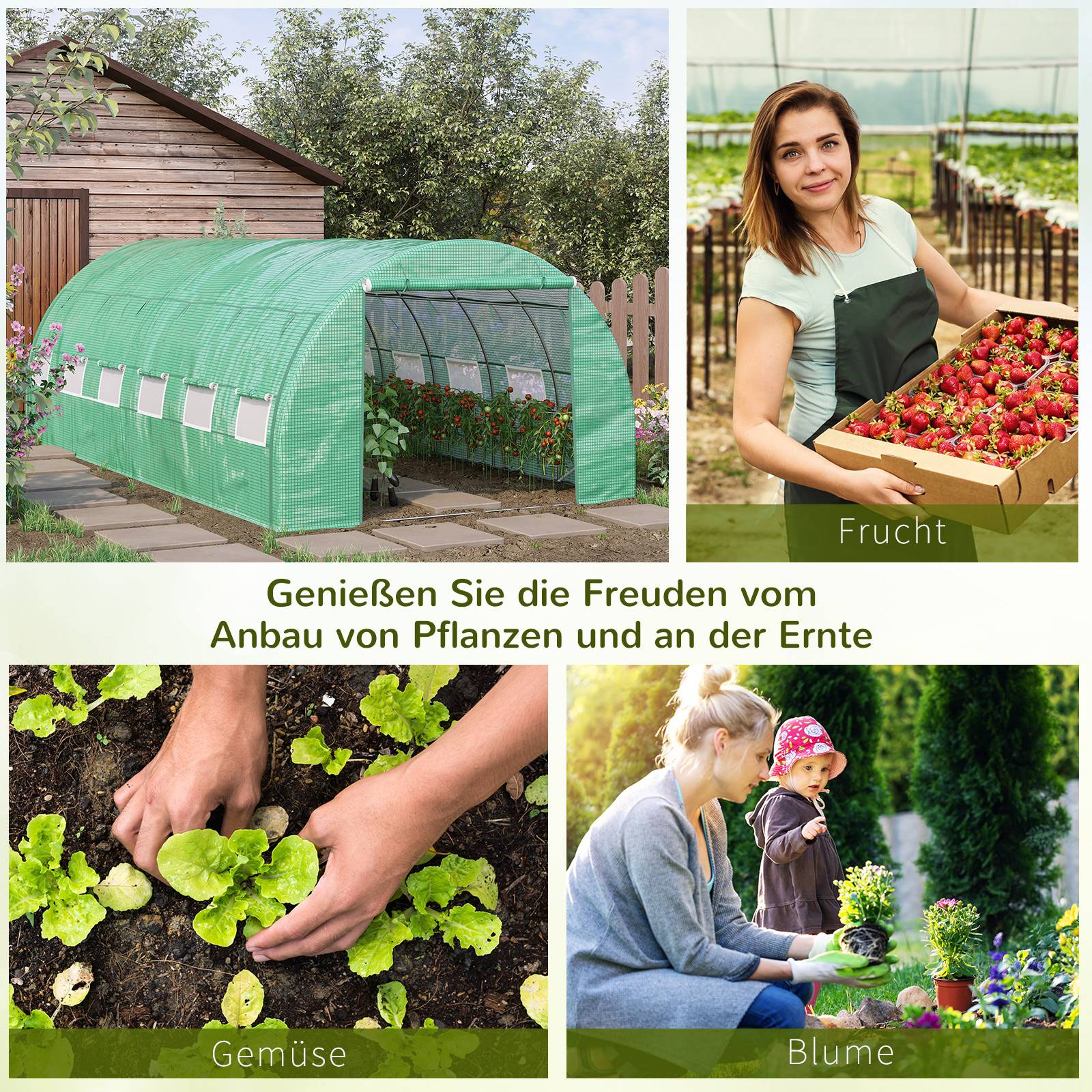 Polytunnel 6 x 3 x 2 m accessible, couvertures enroulables, tunnel, UV, tube acier, Vert - Image 8