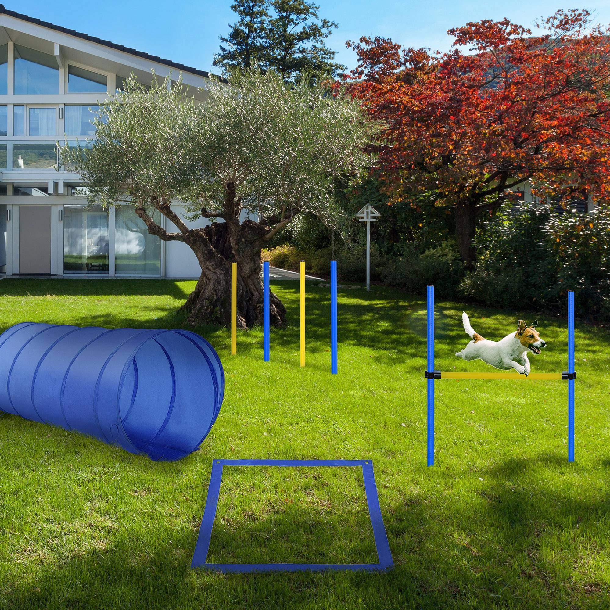 Kit d'agility pour chien polyester bleu jaune 148 x 60 x 60 cm - PANGIVO - Image 4