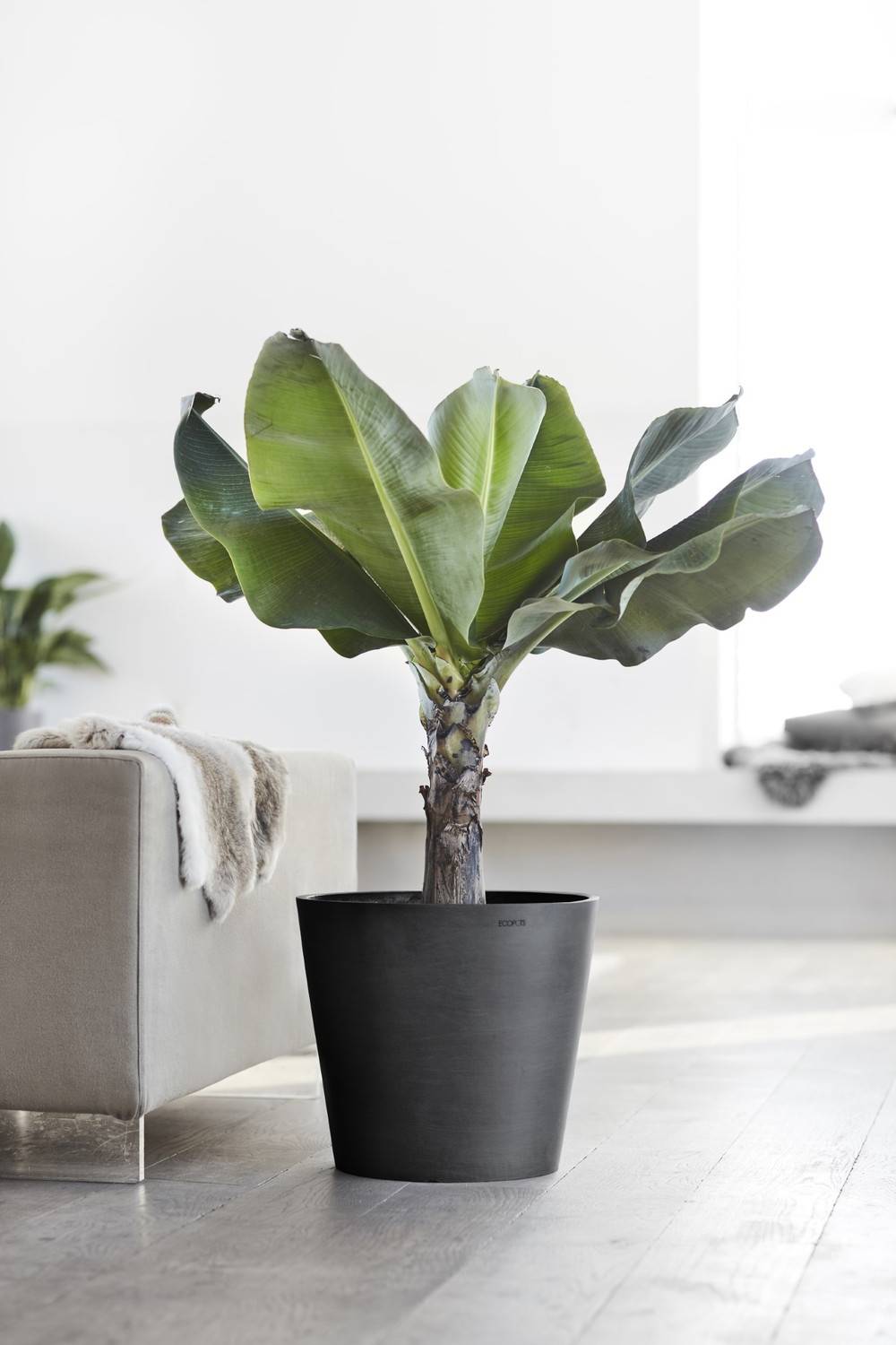 Ecopots - Pot Rond Amsterdam 40 Gris Foncé - Ø 40 x H. 35 cm - 28 L ECOPOTS - Imagen 5