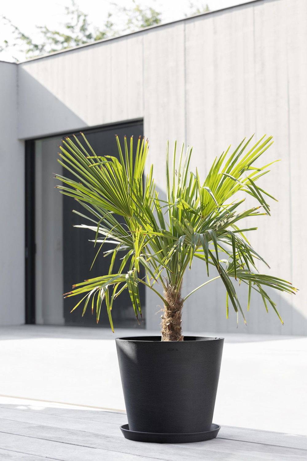 Ecopots - Pot Rond Amsterdam 40 Gris Foncé - Ø 40 x H. 35 cm - 28 L ECOPOTS - Imagen 4