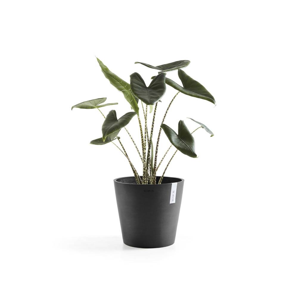 Ecopots - Pot Rond Amsterdam 40 Gris Foncé - Ø 40 x H. 35 cm - 28 L ECOPOTS - Imagen 2