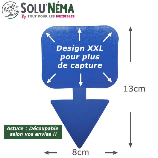 Solu'Néma - Kit 5 millions Nématodes contre les Thrips + 10 pièges collants XXL pour traiter 50 pots - Image 3