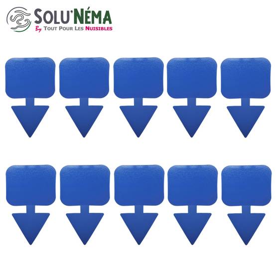 Solu'Néma - Kit 5 millions Nématodes contre les Thrips + 10 pièges collants XXL pour traiter 50 pots - Image 4