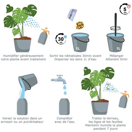 Solu'Néma - Kit 5 millions Nématodes contre les Thrips + 10 pièges collants XXL pour traiter 50 pots - Image 2