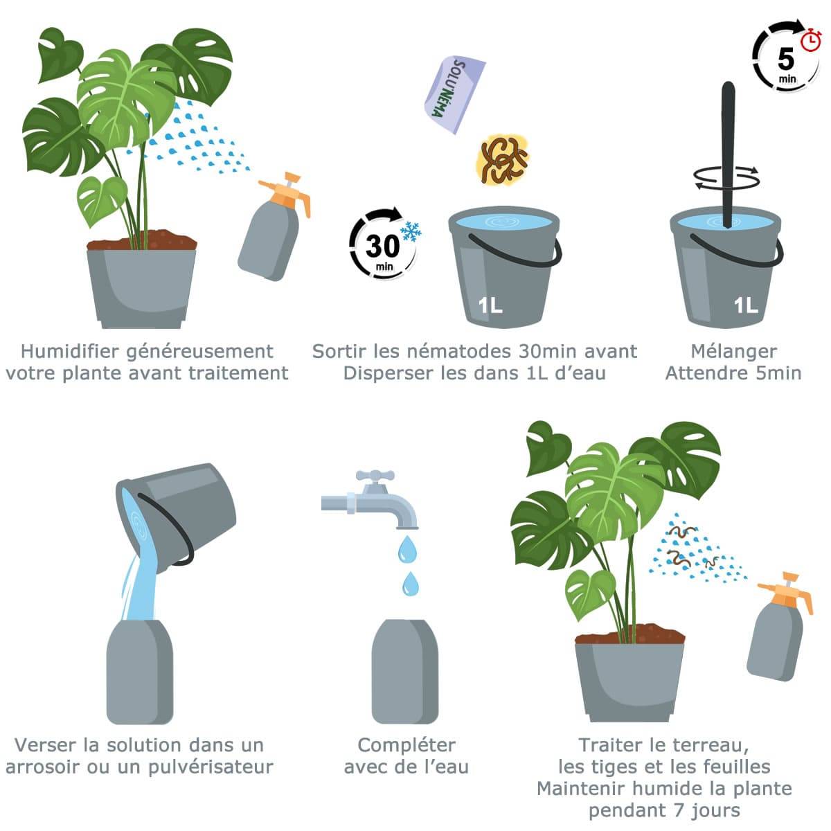 Solu'Néma - Kit 5 millions Nématodes contre les Thrips + 10 pièges collants XXL pour traiter 50 pots - Image 2