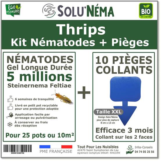 Solu'Néma - Kit 5 millions Nématodes contre les Thrips + 10 pièges collants XXL pour traiter 50 pots - Image 1