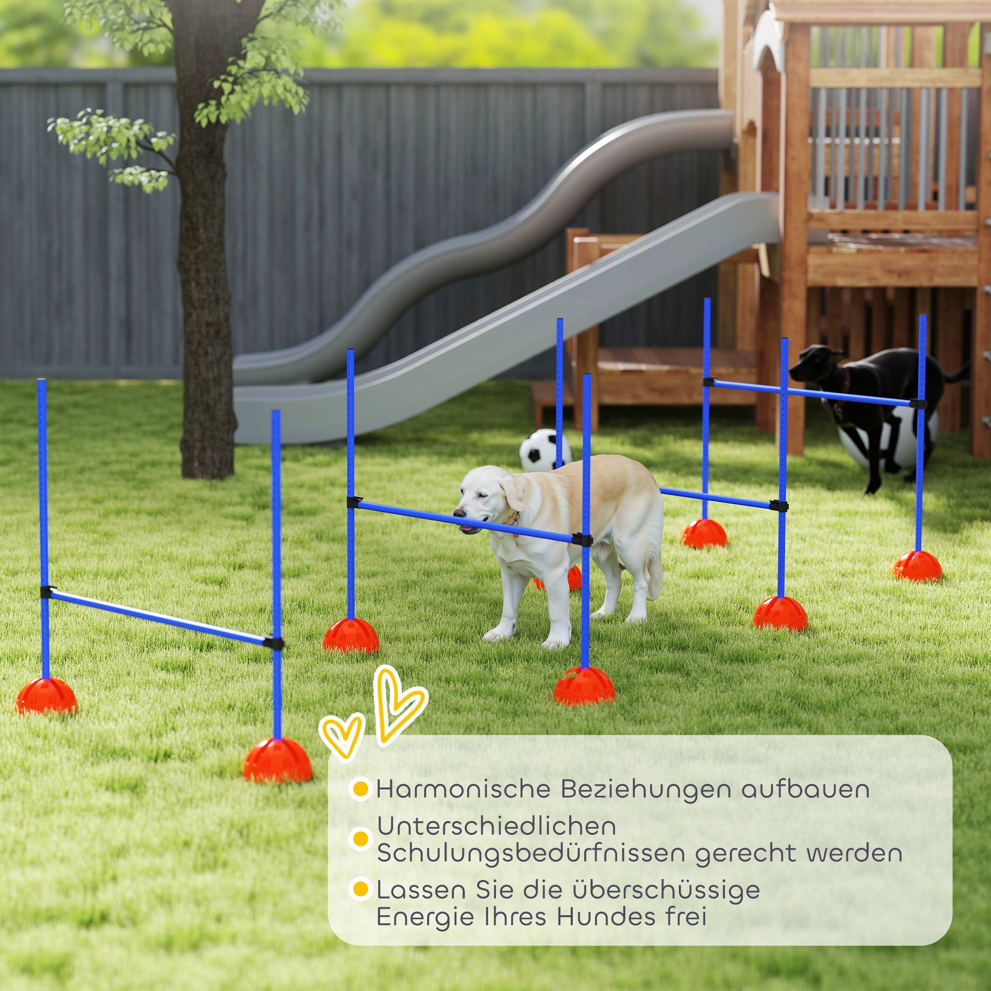 Kit d'agilité pour chien ABS bleu et orange 124 x 19.5 x 103 cm - PANGIVO - Image 10