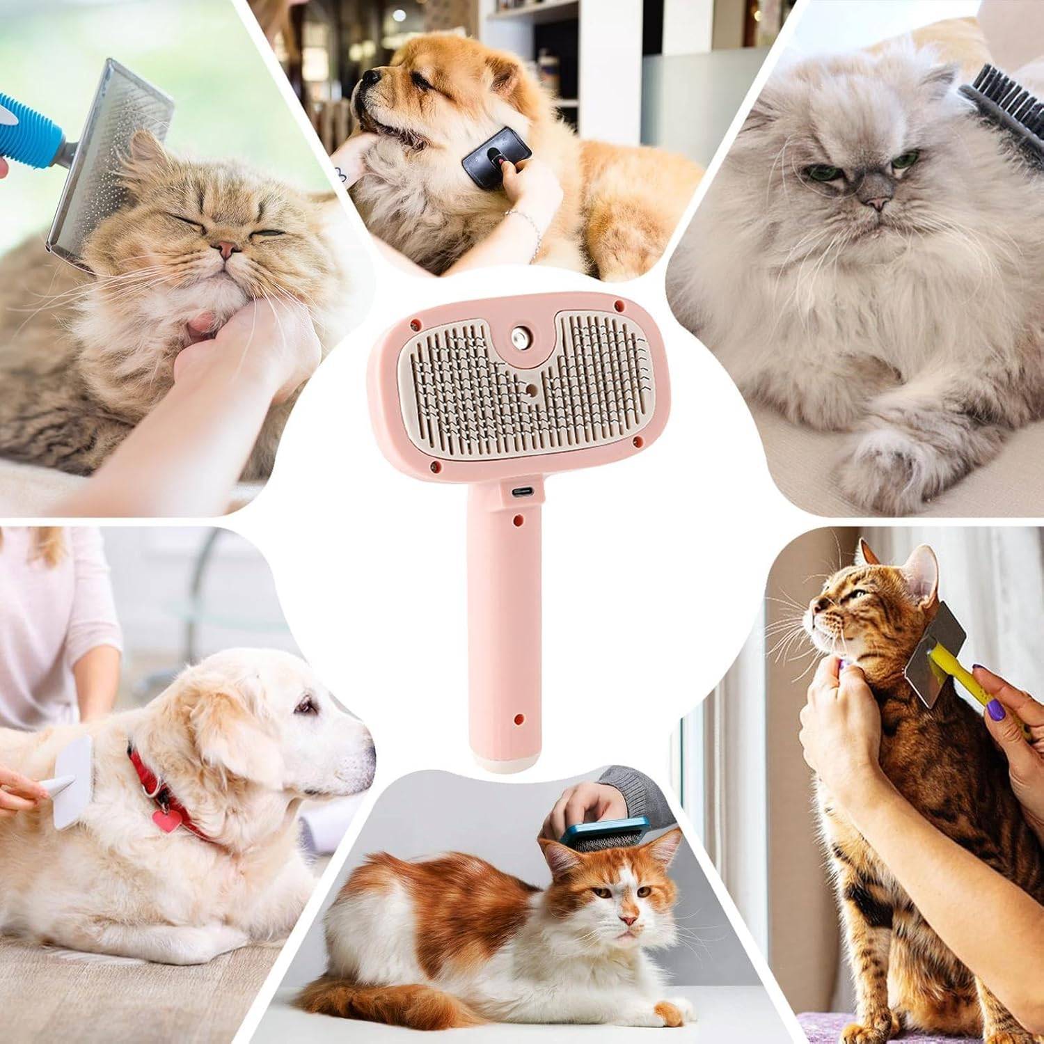 DtopbuyAge - Brosse vapeur pour chat et chien - Toilettage et massage DtopbuyAge - Image 4