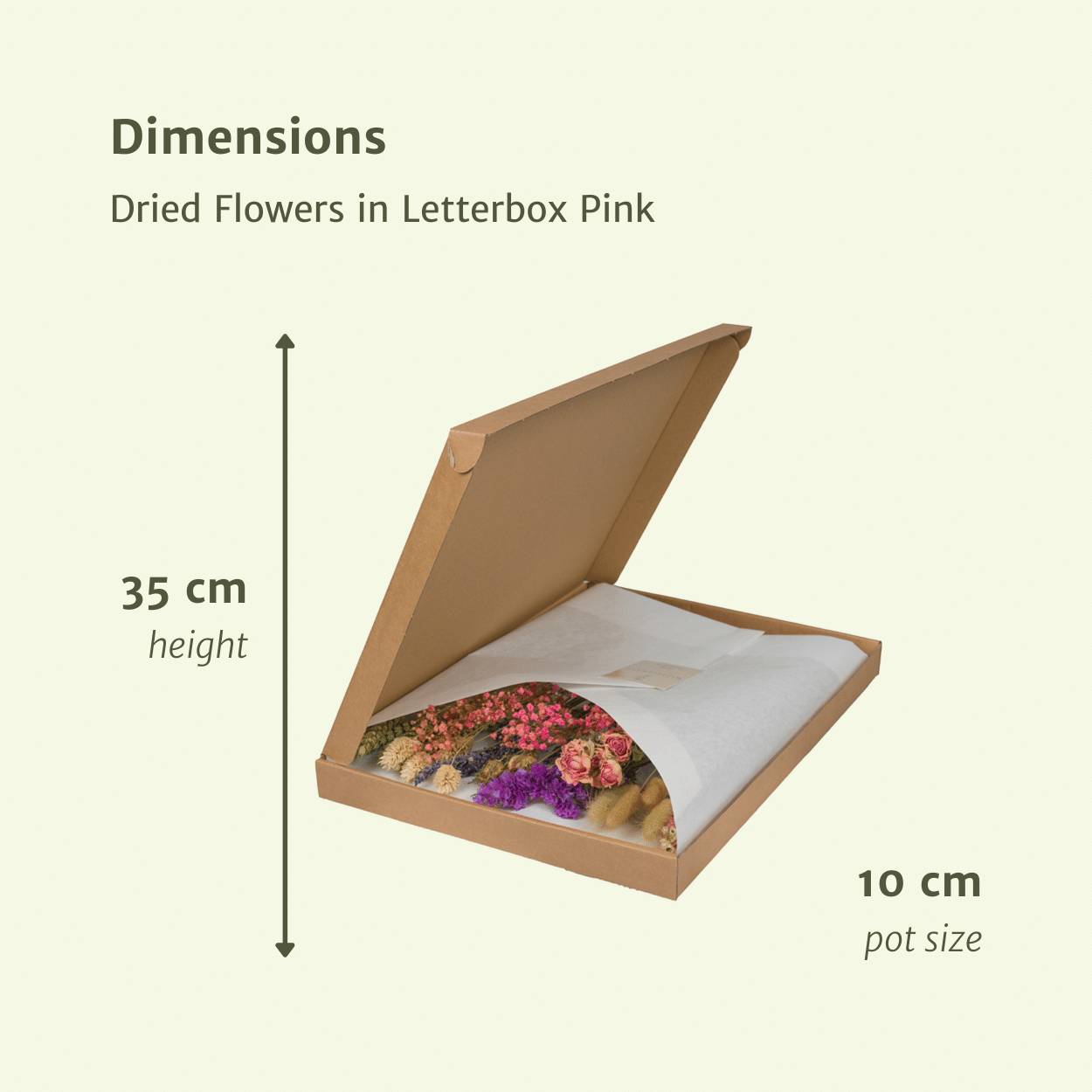 Bouquet de fleurs séchées format boîte aux lettres - rose - Ø10cm - ↕35cm - Image 2
