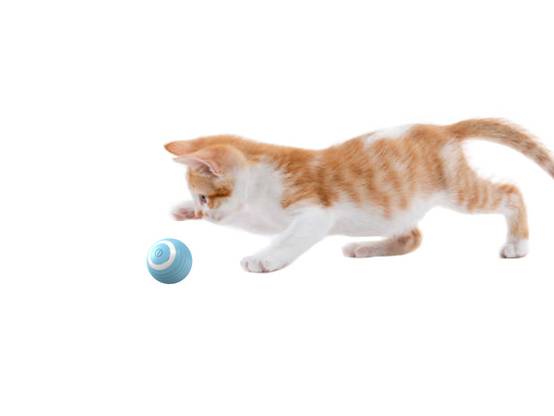 Objet pour chat chien balle d'évasion balle électrique usb vibration led - Image 9