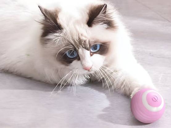 Objet pour chat chien balle d'évasion balle électrique usb vibration led - Image 3