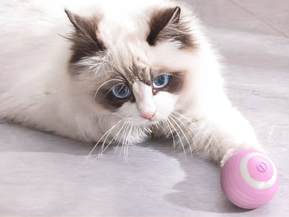 Objet pour chat chien balle d'évasion balle électrique usb vibration led - Image 3