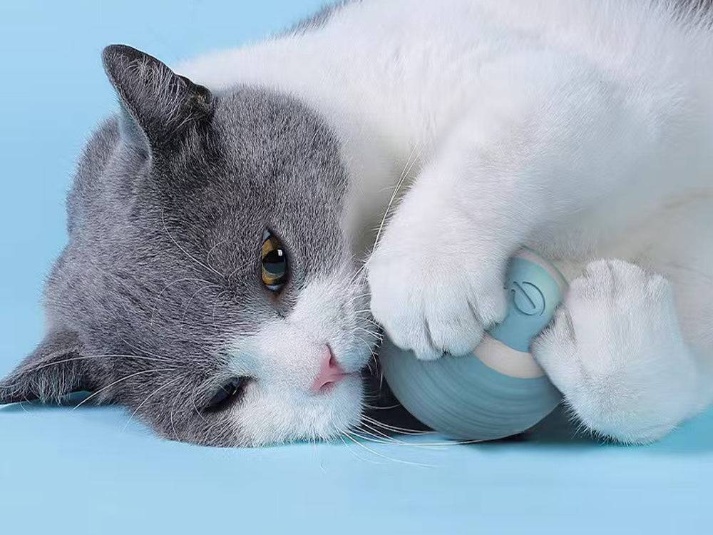 Objet pour chat chien balle d'évasion balle électrique usb vibration led - Image 8