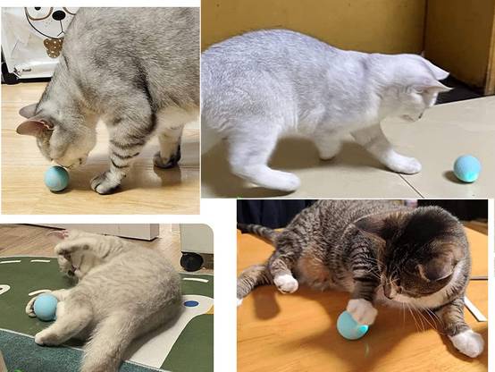 Objet pour chat chien balle d'évasion balle électrique usb vibration led - Image 4