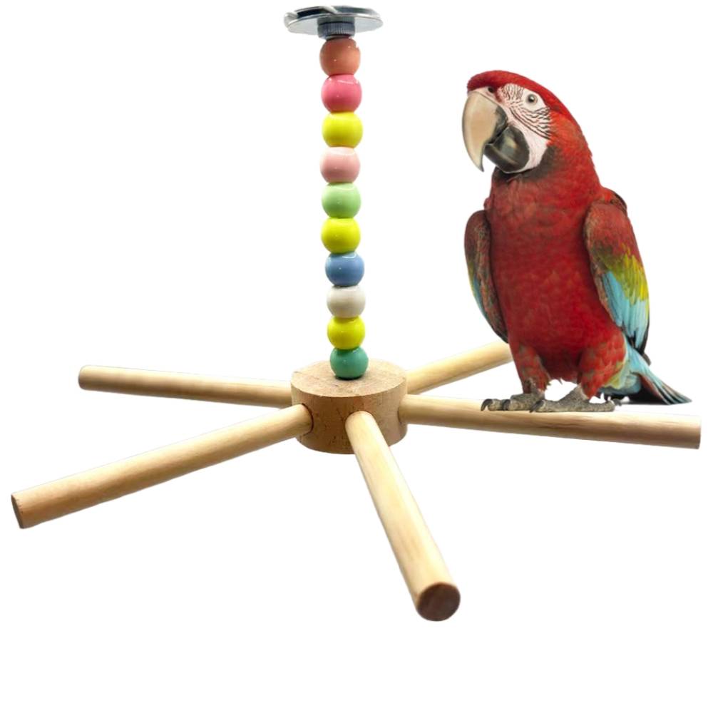 Jouet perchoir rotatif pour oiseaux - IntiMeg - Image 1