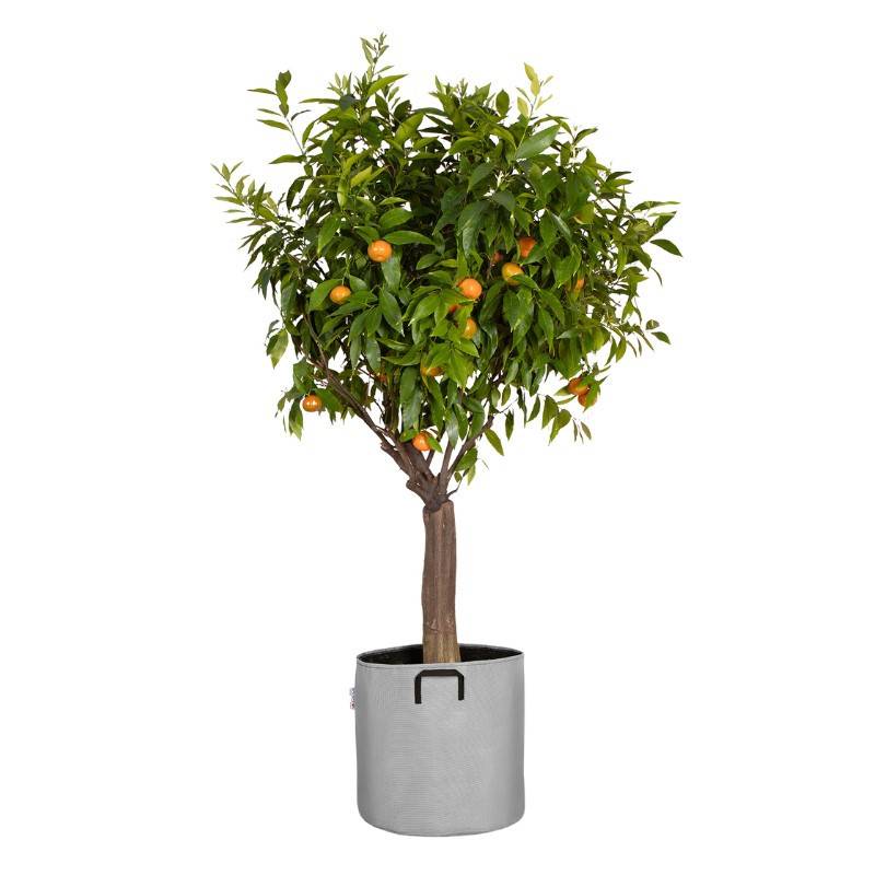 Bourgeon - Sac à plantation respirant 40x40 cm Gris - Bourgeon - Imagen 1
