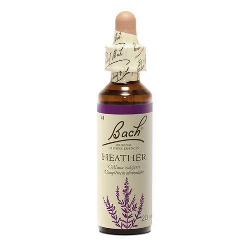 Heather -  Fleurs de Bach n°14 Fleur de Bach